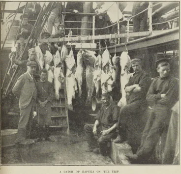 Image: A catch of hapuka on the trip