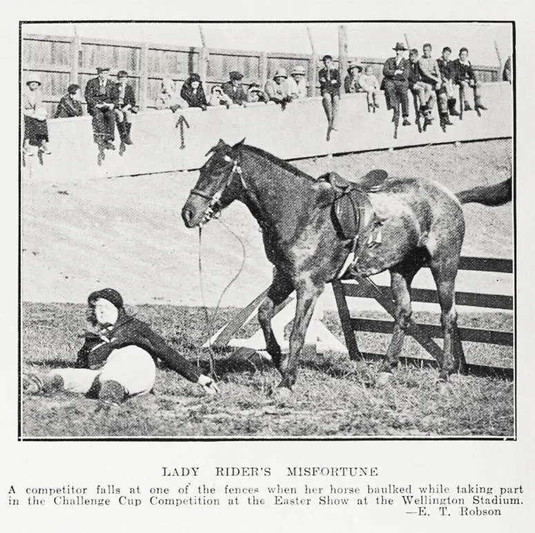 Lady rider's misfortune