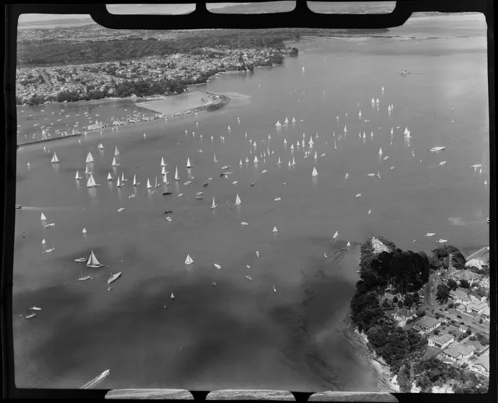 Auckland Regatta, yachts on Auckland Harbour