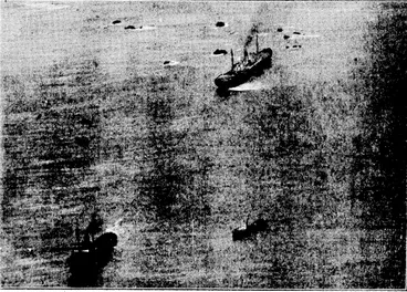 Image: Evening – Post" i*hotoi THE STRANDED STEAMER FROM THE AIR.—An aerial view of the Golden Harvest, with one of the attendant salvage tugs which have been attempting to pull her off Barrett's Reef. This photograph was taken this morning by. an "Evening Post" representative from an aeroplane, piloted by Mr. A. WfNisbet, secretary of the Wellington Aero Club. ' : : • ■ • , (Evening Post, 31 May 1933)