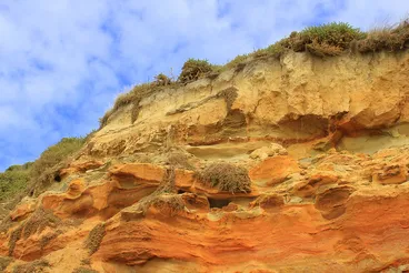 Smith's Beach Kaitangata Image: Smith's Beach Kaitangata