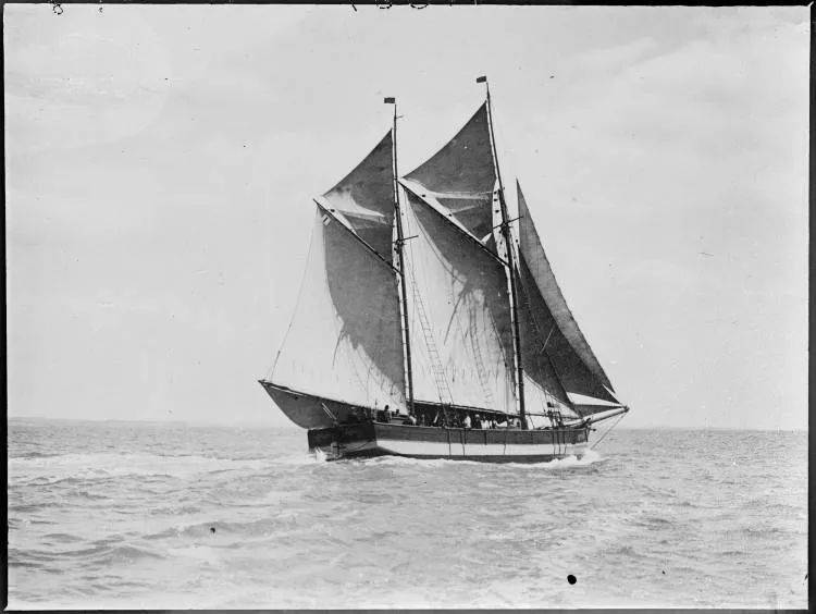 Scow Vixen, Auckland Anniversary Regatta, 1917