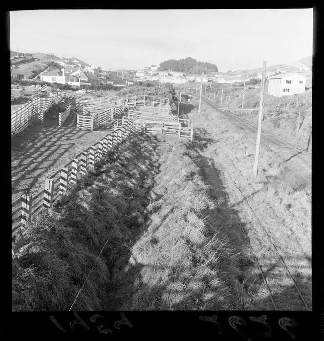 Stockyards, Johnsonville, Wellington region