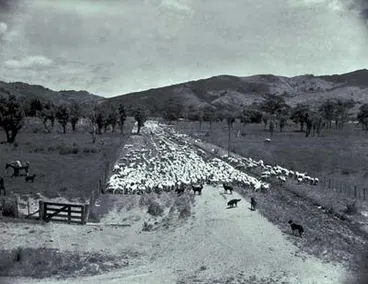 Image: East Coast trip.