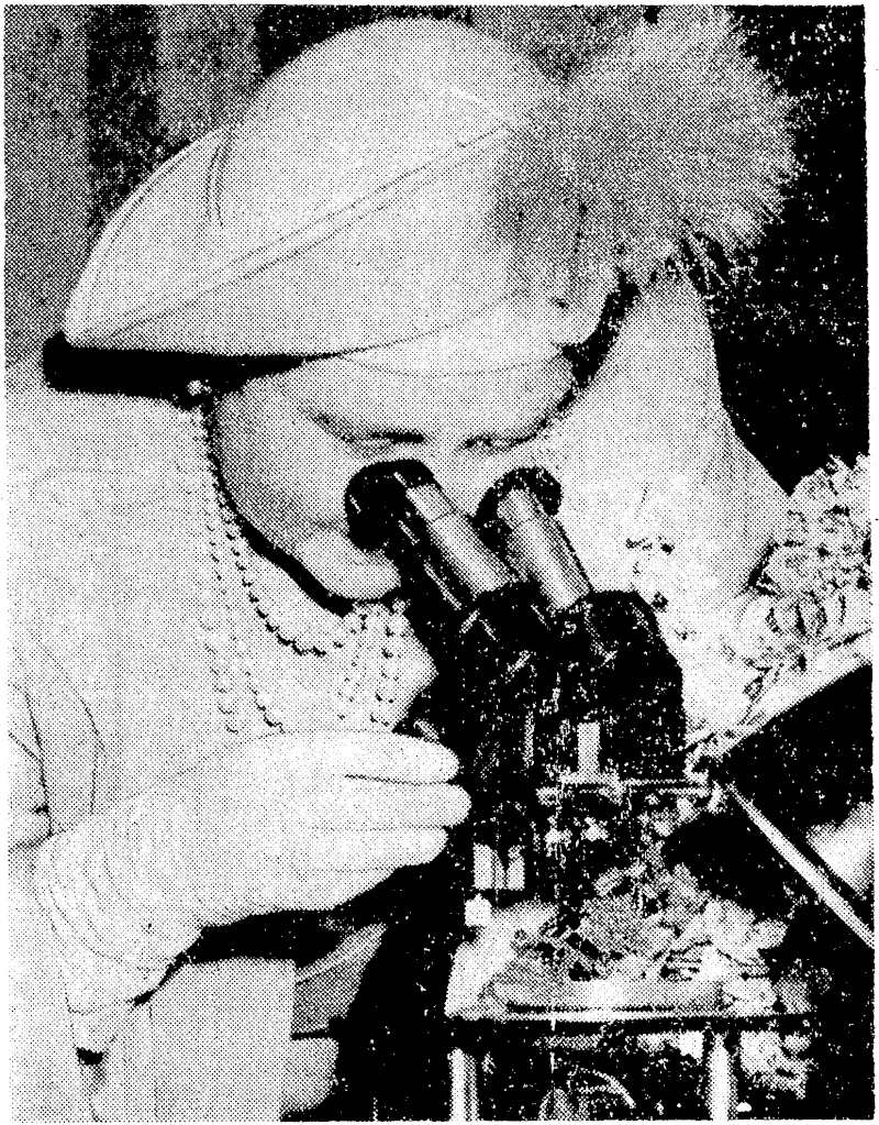 The Queen looking through a microscope at penicillin mould during her recent visit to St. Mary's Hospital, Paddington, on the occasion of its centenary. It was at St. Mary's that penicillin ivas discovered by Sir Alexander Fleming. (Evening Post, 15 September 1945)