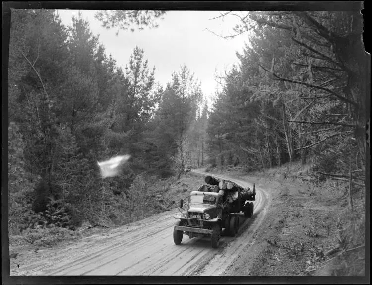 Tokoroa Timber Industry, 1952