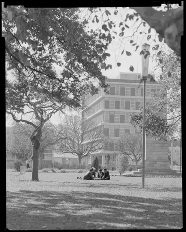 Image: NIMU building, Hastings
