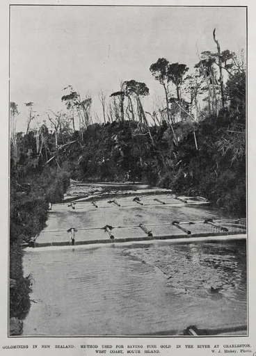 GOLDMINING IN NEW ZEALAND: METHOD USED FOR SAVING FINE GOLD IN THE RIVER AT CHARLESTON, WEST COAST, SOUTH ISLAND Image: GOLDMINING IN NEW ZEALAND: METHOD USED FOR SAVING FINE GOLD IN THE RIVER AT CHARLESTON, WEST COAST, SOUTH ISLAND