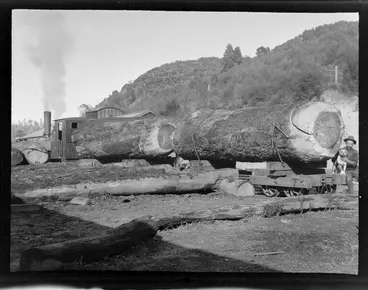 Image: An unidentified man with a dog beside a steam train and carriages with large logs for unloading, Kakahi Sawmill, Kakahi Settlement, Manawatu-Whanganui Region