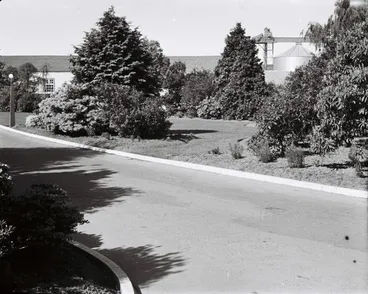 Image: Sanitarium Factory and Gardens