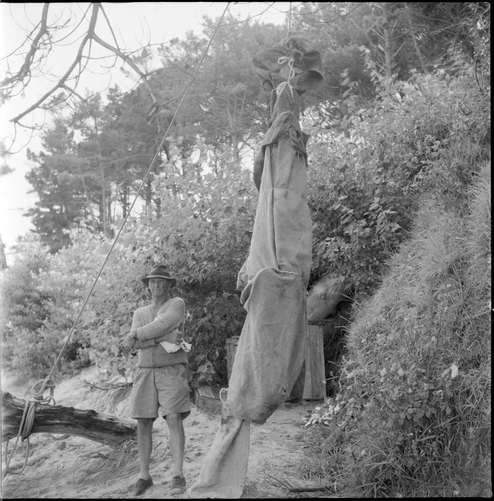 Opo the dolphin, Opononi