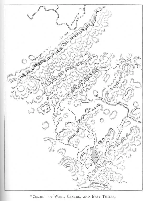“Combs” of West, Centre, and East Tutira