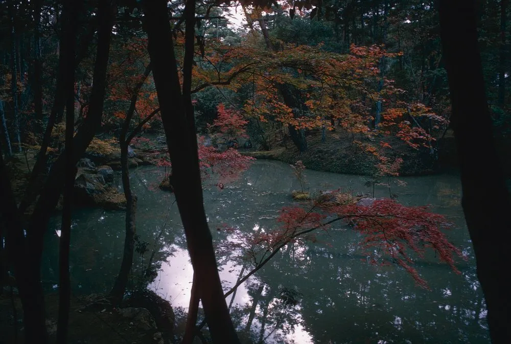 Japan series: Kokedera