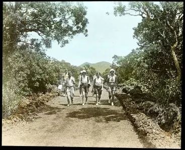 Trampers on Rangitoto Island Image: Trampers on Rangitoto Island