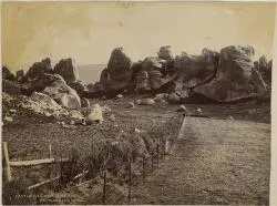 Castle Hill, West Coast Road, [New Zealand] / Wheeler & Son