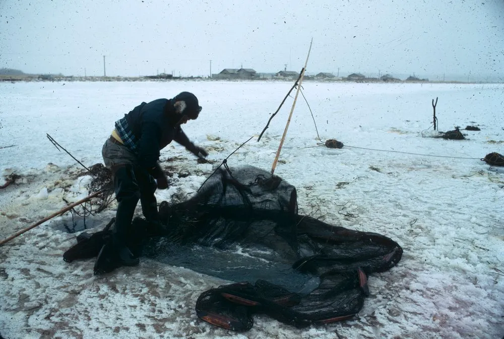 Japan series: Nemuro