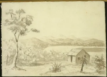 Image: Swainson, William, 1789-1855 :Scene on Manawatu River, New Zealand. 1845.