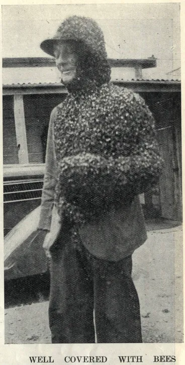 Image: Well covered with bees