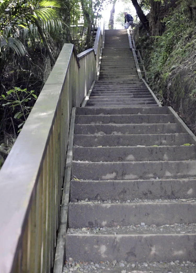 'Killer climb', Totara Park, 2010