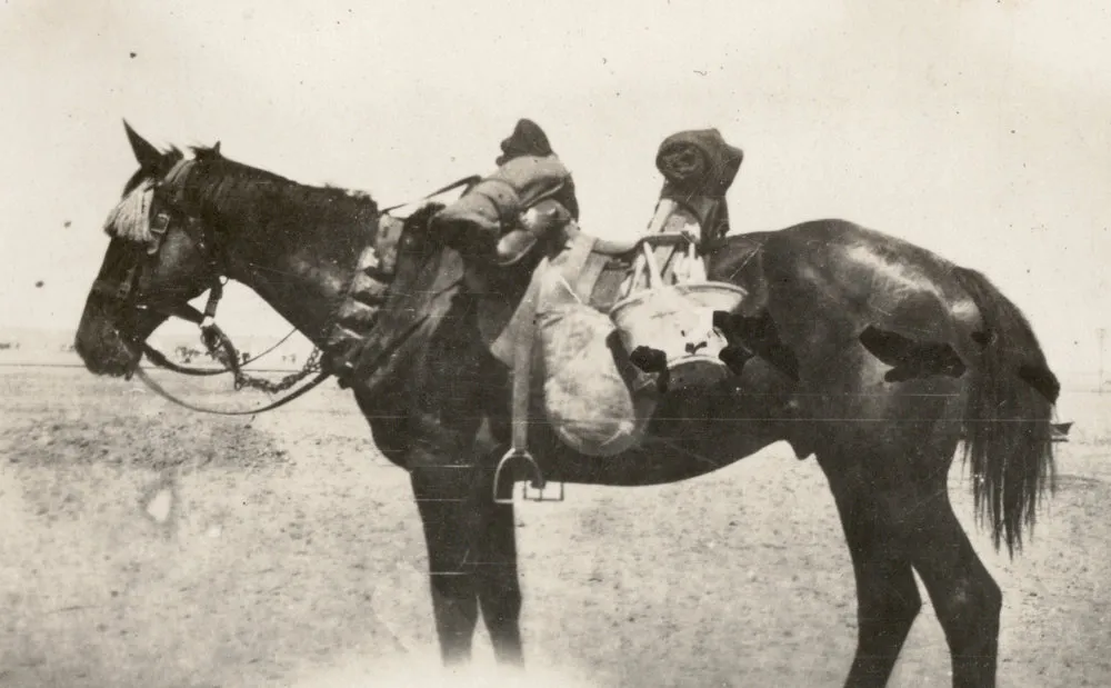 Featherston (NZ), Egypt, Gallipoli & Sinai and Palestine