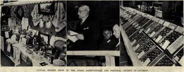 Image: Annual winter show of the Otago Agricultural and Pastoral Society in Dunedin