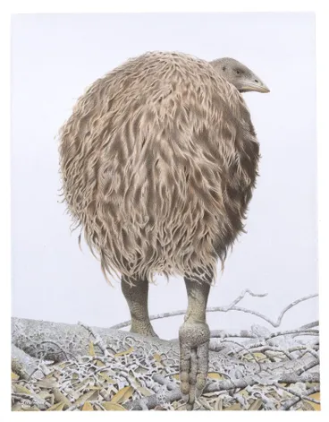 Image: Mantell's Moa. Pachyornis geranoides. From the series: Extinct Birds of New Zealand.