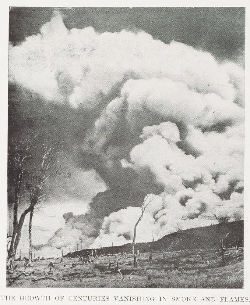 The growth of centuries vanishing in smoke and flames