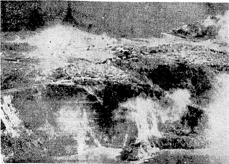 An aerial photograph of an attack on the fortress island of Corregidor, in Manila Harbour, a few moments after troopers of the 503 rd U.S. Parachute Regiment had landed from the air. The attack, launched from Mindoro, ended in the capture of the island, though a number of Japanese held out in deep caves for some time. (Evening Post, 05 March 1945)