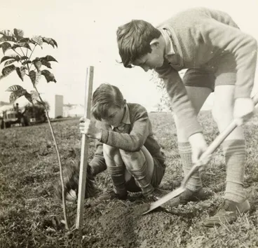 Tree planting project, Ōtara, 1968 Image: Tree planting project, Ōtara, 1968
