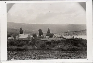 Image: Otago Chinese Community