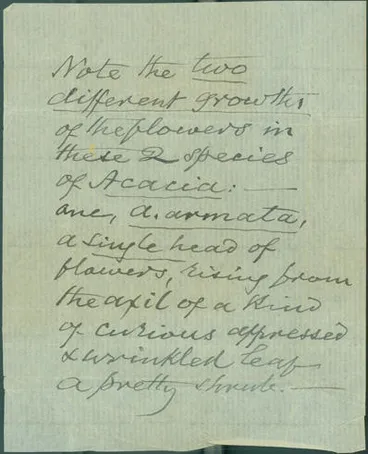 Image: Colenso, William