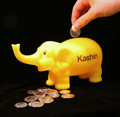 Kashin the elephant