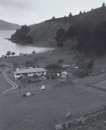 Image: Guard Cove, Cloudy Bay, Port Underwood