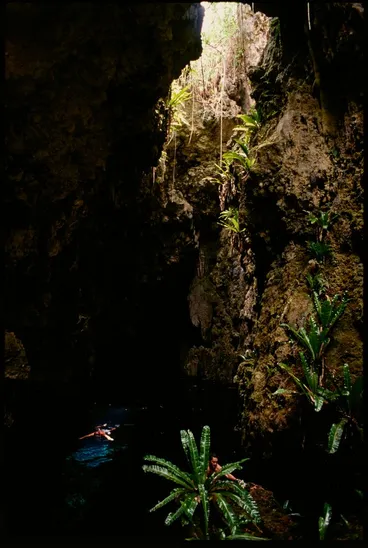 Image: Cavern in tropical rainforest, Niue