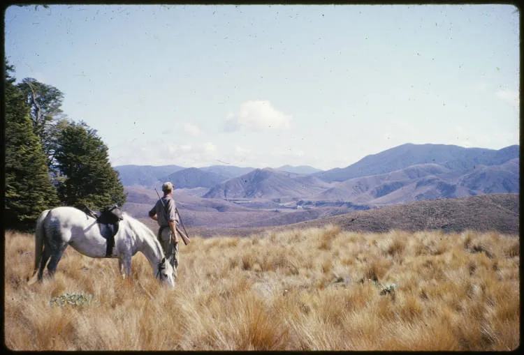Hunting trip, Ngāmatea Station, Hawke's Bay