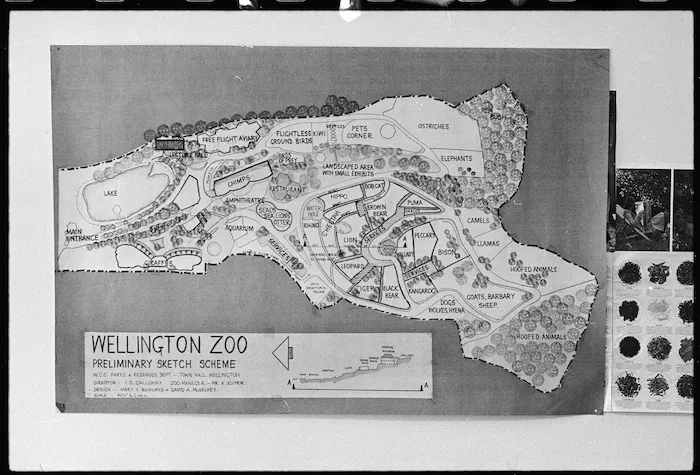 Development map for the Wellington Zoo, New Zealand