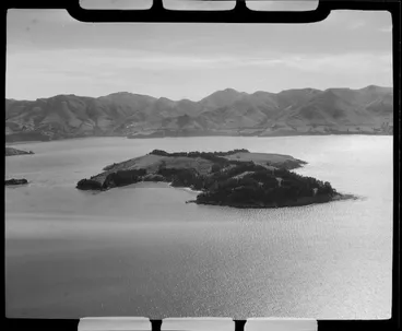 Image: Quail Island, Lyttelton Harbour