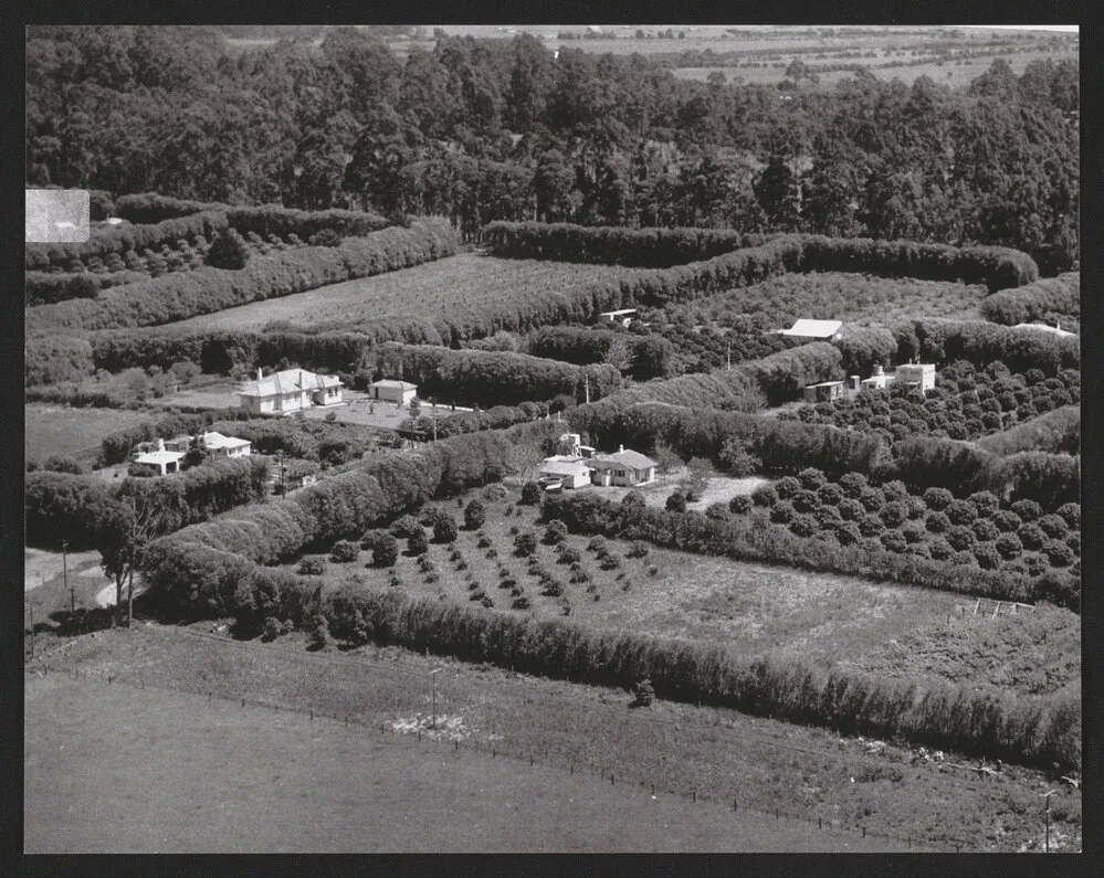 Hardcastle Photographs (20)