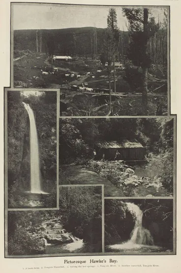 Picturesque Hawke's Bay Image: Picturesque Hawke's Bay