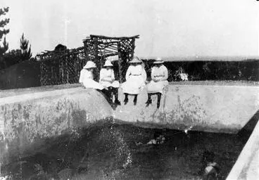 Image: The swimming pool at Homewood