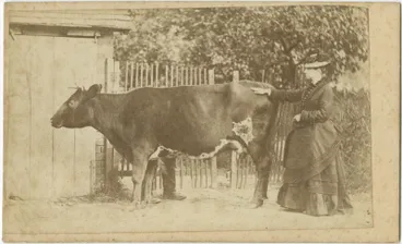 Image: Maria Webb and Dorothy the cow
