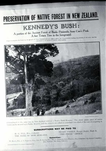 Kennedy’s Bush Image: Kennedy’s Bush