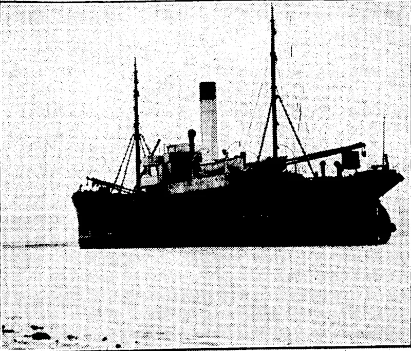 THE OLD COASTAL STEAMER REGULUS, which,-together■■with the Ngaio, has been sold to a Japanese scrap-iron firm.. Both vessels have been laid up at Nelson, Arrangements are in hand for the removal of the Ngaio from the mud flat on which she lies with a view to putting her in sufficient order for her to steam to Japan. (Evening Post, 11 January 1936)