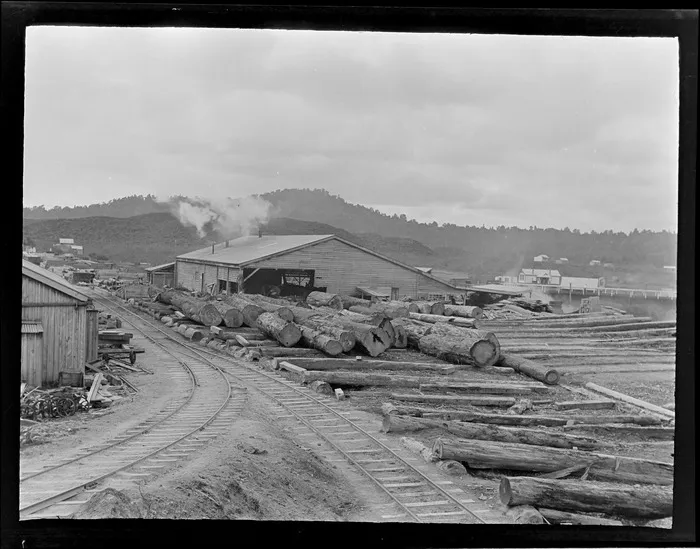 The Kakahi Sawmill with railway lines and logs ready for processing in front, Kakahi Settlement, Manawatu-Whanganui Region