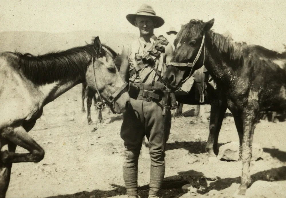 Egypt & Sinai and Palestine