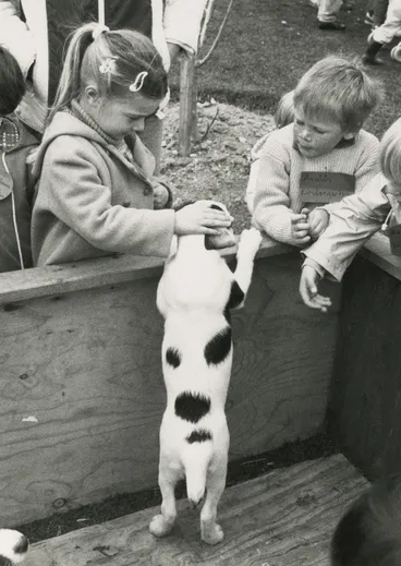 Image: Wallaceville Research Centre; Pets Day, 1989.