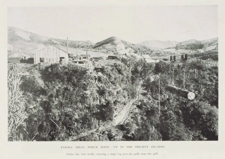 Patoka Mills which have up to the present escaped. Notice the wire trolley carrying a huge log over the gully near the mill