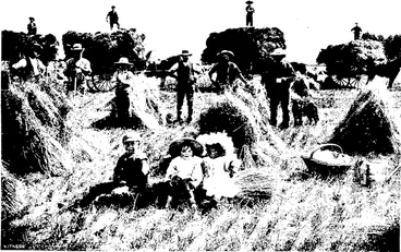 Image: A HARVESTING SCENE IN SOUTHLAND: GATHERING IN THE SHEAVES ON MR GEO. CHILTON'S PROPERTY, -M'Keßch photo. DRUMMOND. (Otago Witness, 04 March 1908)