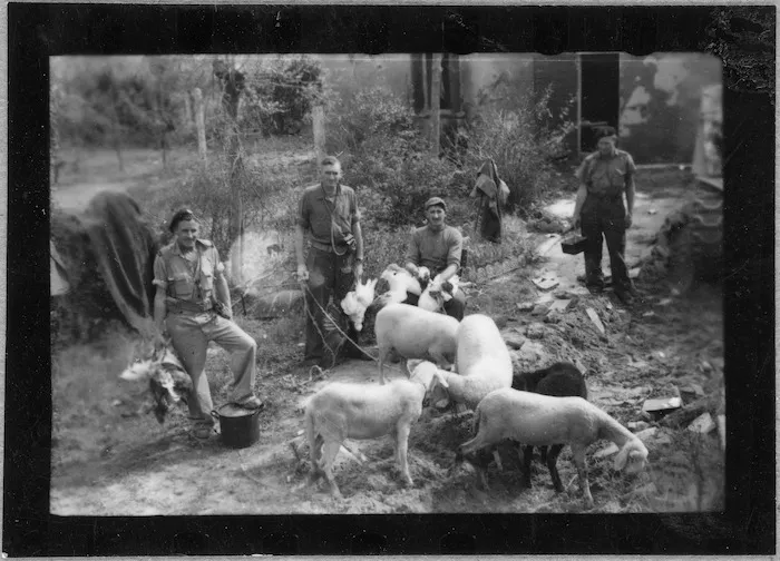 Fresh rations for New Zealand troops, Bellaria, Italy, during World War 2