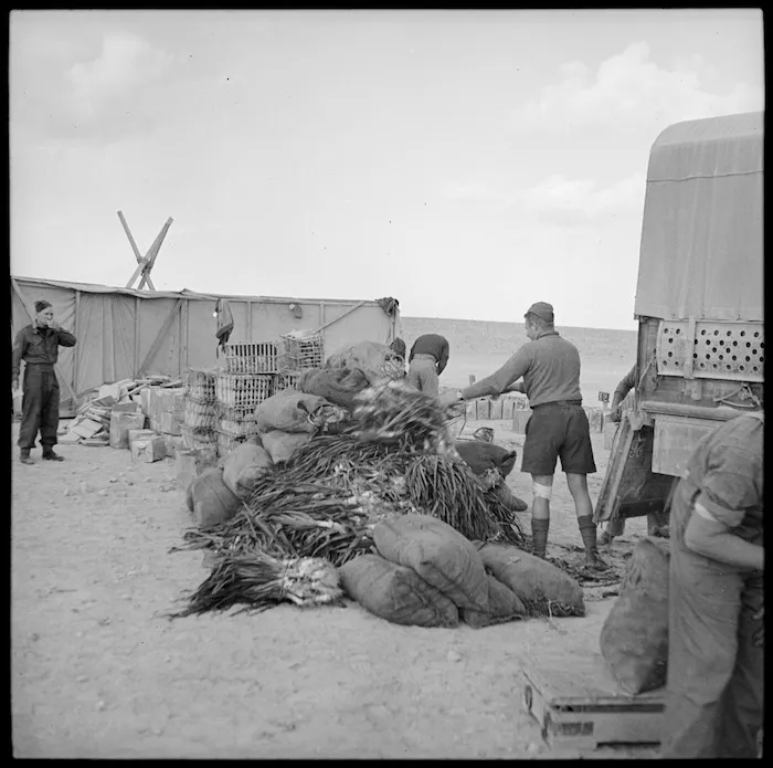 Soldier unloading fresh vegetables, Egypt